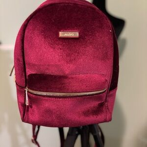 Aldo Burgundy Backpack